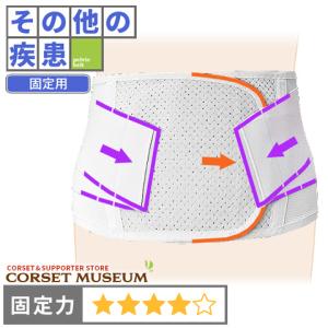 腰痛ベルト コルセット その他の疾患 椎間板ヘルニア 術後の腰痛 整体