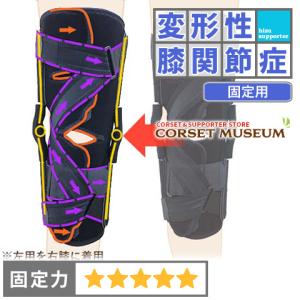 膝サポーター 膝 サポーター スポーツ 内側半月板 固定 エクス
