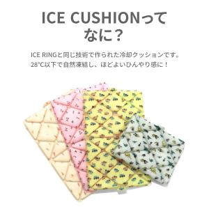 ICE CUSHION キッズ アイスクッショ...の詳細画像1
