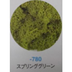 【モス】アイスランドモス（スプリンググリーン)約40g｜hariyakougei21