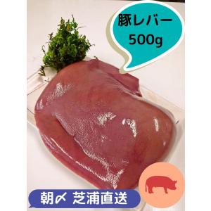 【国産】豚レバーブロック 500g 【東京芝浦直送】【当日朝〆】｜hariyashokuhin