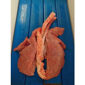 豚フワ 豚ホルモン 肉 ハム ソーセージ 食品 通販 Yahoo ショッピング