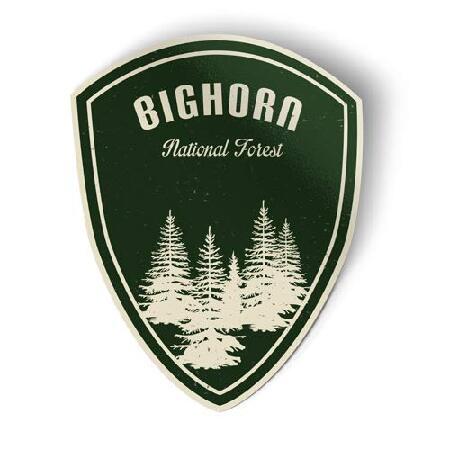 Squiddy Bighorn National Forest Green - Vinyl Stic...