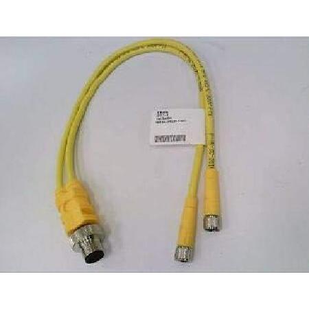 TURCK VBRS 4.4-2PKG 3M-1/1 Cordset, P1: Str M12 M ...