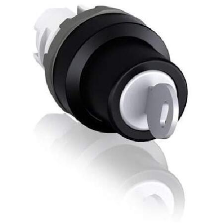 Switch; Keyed; 2 Pos; Black Plastic Bezel; Key Rem...