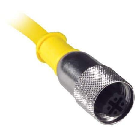 Cordset; 1/2-20UNF Female Straight 4pos to Cut End...