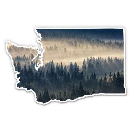 Squiddy Washington Map Forest - Vinyl Sticker Deca...