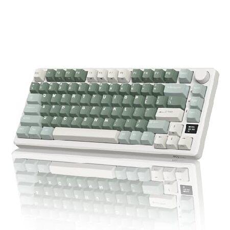 RK ROYAL KLUDGE M75 Wireless Mechanical Keyboard 2...