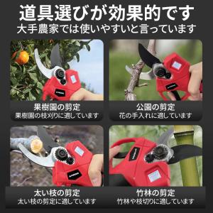 【正規品】 剪定ばさみ 電動 高枝切りバサミ ...の詳細画像2