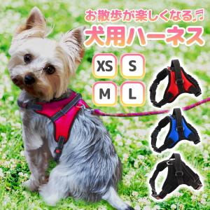 BURBERRY バーバリー ドッグリード 8073365 レザー バーバリー