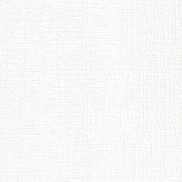 リリカラ LB9526 生のり付き壁紙 1m単位 織物調 ホワイト パール LB ベース 2024-...