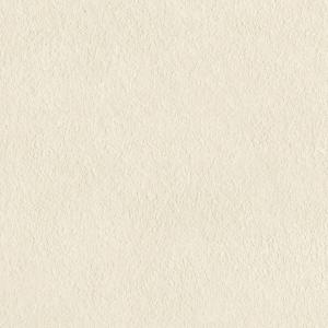 リリカラ LV2102 生のり付き壁紙 1m単位...の商品画像