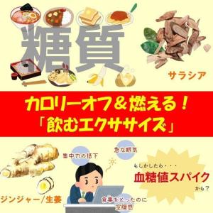 3個セット!ヴェーダヴィ サラシア&ジンジャー...の詳細画像3