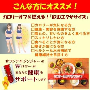 3個セット!ヴェーダヴィ サラシア&ジンジャー...の詳細画像4