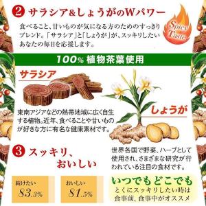 3個セット!ヴェーダヴィ サラシア&ジンジャー...の詳細画像5