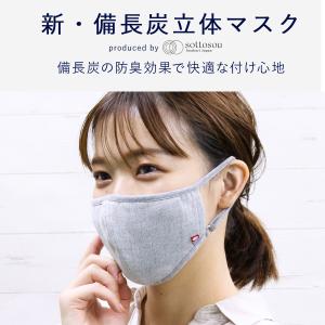 マスク 今治タオルブランド認定 新 備長炭 立体マスク グレー 日本製 洗える 防臭 消臭 ポケット付き アジャスター付き サイズ調整可 ハートウエル
