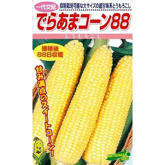 【松永】野菜タネ　とうもろこし種　でらあまコーン88（2000粒）