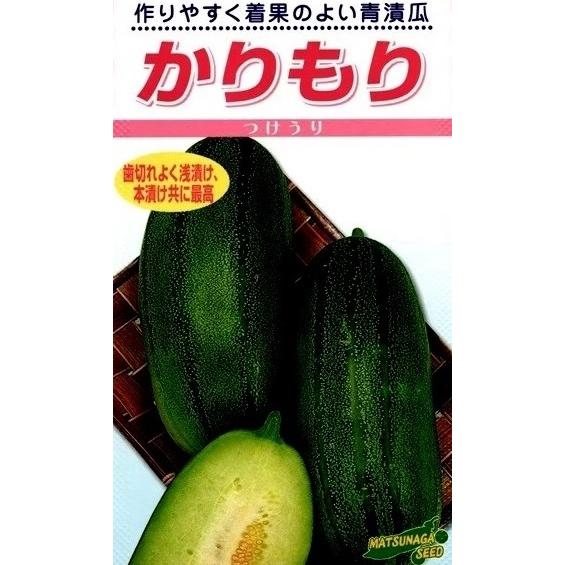 【松永】野菜タネ　漬けウリ種　かりもり （500粒）