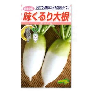 【松永】野菜タネ　ダイコン種　松永交配 味くるり （20ml）