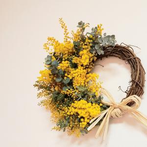 2025年受付開始　♪　春を告げる花　フレッシュミモザたっぷりハーフリース　約25cm弱　早割