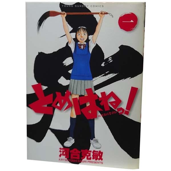 中古　とめはねっ！ 鈴里高校書道部　青年コミック　１〜14巻 漫画 全巻セット　河合克敏　小学館