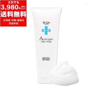 SIMFORT ツルスキン ウォッシュ 【定価 1,980円】泡洗顔料 135ml SIMFORT ツルスキン ウォッシュ 【定価 1,980円】泡洗顔料 135ml
