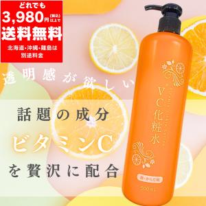 PDRN モイスチャーローション 500ml 化粧水 乾燥肌 毛穴悩み