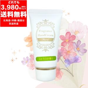フェイスクリーム HARU Amazon.com: HARUHARU wonder Centella 5% Niacinamide Radiance