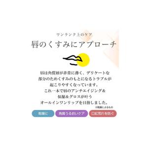 唇に塗るという新発想のリップマスク V BLO...の詳細画像2