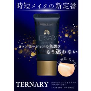 TERNARY カラーチェンジ ファンデーショ...の詳細画像3