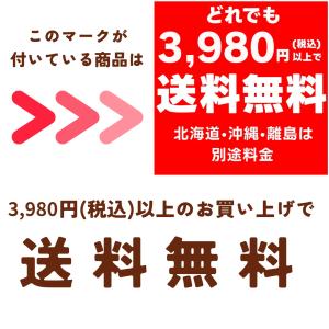 TERNARY カラーチェンジ ファンデーショ...の詳細画像4