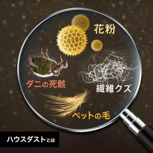 ファブリーズ おそうじエイド ハウスダストをま...の詳細画像3