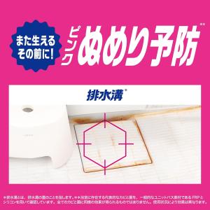 在庫限り ファブリーズ お風呂用 防カビ 消臭...の詳細画像4