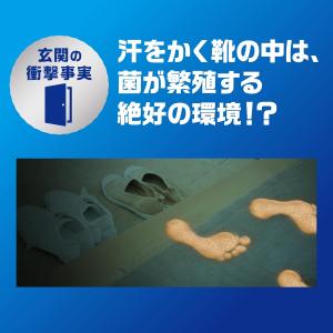 ファブリーズ 消臭芳香剤 + 抗菌 W消臭 玄...の詳細画像3