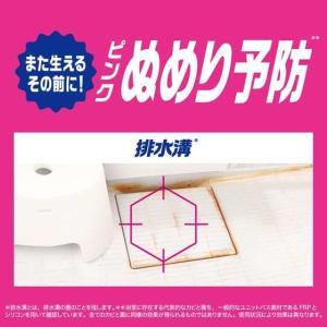 在庫限り ファブリーズ お風呂用 防カビ 消臭...の詳細画像2