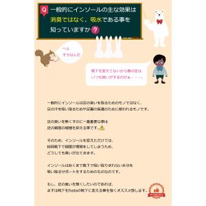 消臭 インソール(中敷き) 足の臭い対策 footaの詳細画像3