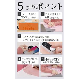 【SALE】【2,980円⇒1,200円】ホッ...の詳細画像2