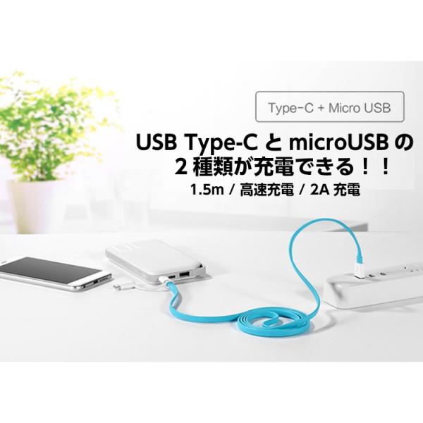 充電ケーブル 2in1 1本2役ケーブル 全対応ケーブル Type C+Micro USBType ...