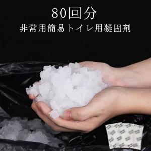 凝固剤 トイレ 尿 80回 凝固剤 個包装 トイ...の商品画像