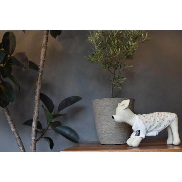 犬 服 おしゃれ ブランド Haruko×Liberty Demi デミ グレー ドッグウェア 秋冬