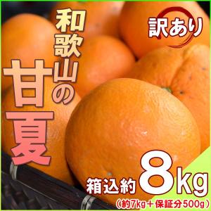 甘夏 あまなつ 8kg（箱込約8kg） 和歌山県産 訳あり・ご家庭用 送料無料（東北・北海道・沖縄県除く）