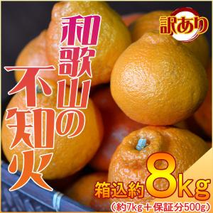 デコポンと同品種 しらぬい 不知火 8kg（箱込約8kg） 和歌山県産