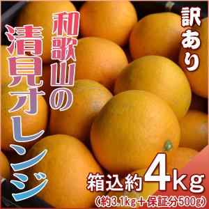 清見オレンジ きよみ 4kg（箱込約4kg） 和歌山県産 訳あり・ご家庭用 送料無料（東北・北海道・沖縄県除く）