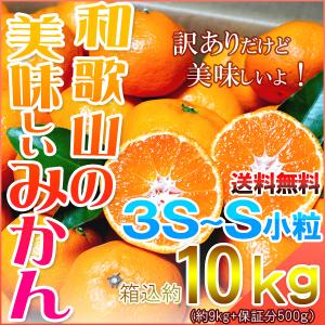 みかん 小玉（3S-Sサイズ） 10kg（箱込約10kg） 和歌山県産 訳あり・ご家庭用 送料無料（東北・北海道・沖縄県除く）｜harumaya