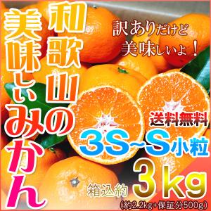 みかん 小玉（3S-Sサイズ） 3kg（箱込約3kg） 和歌山県産 訳あり・ご家庭用 送料無料（東北・北海道・沖縄県除く）