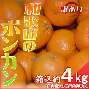 ポンカン 4kg（箱込約4kg） 和歌山県産 訳あり・ご家庭用 送料無料（東北・北海道・沖縄県除く）