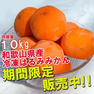 冷凍はるみ 10kg 和歌山県産 訳あり・ご家庭用 はるみみかん 送料無料（東北・北海道・沖縄県除く）（同梱不可）