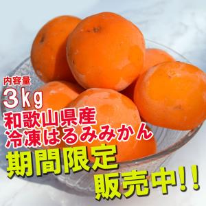 冷凍はるみ 3kg 和歌山県産 訳あり・ご家庭用 はるみみかん 送料無料（東北・北海道・沖縄県除く）（同梱不可）