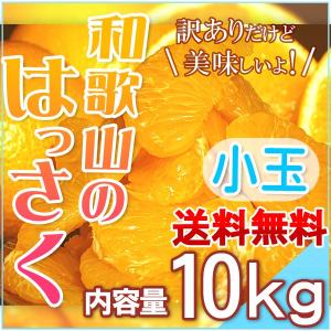 はっさく 八朔  小玉（Sサイズ以下） 10kg 和歌山県産 訳あり・ご家庭用 送料無料（東北・北海道・沖縄県除く）
