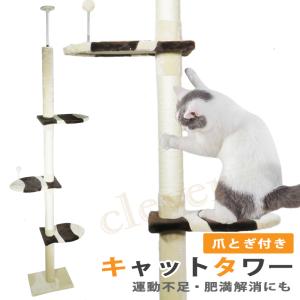 キャットタワー スリム 突っ張りのおすすめランキング キャットタワー 突っ張り 麻紐 爪とぎ付き キャットポール 木登り ネコタワー 高さ230 260cm シンプル スリム 猫のお家